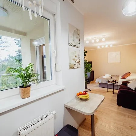 Zielona 11 Jelení Hora